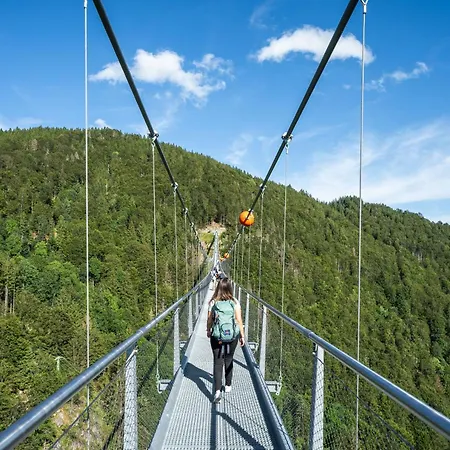 Appartamento Besamia Todtnau